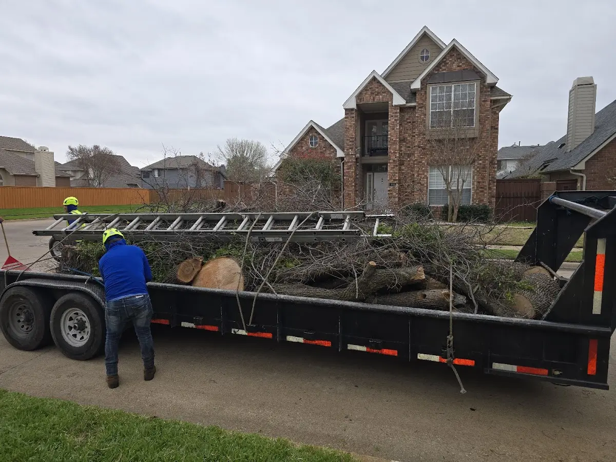 Expert Tree Removal with proper safety equipment in Du Bois
